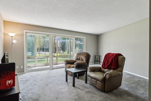 sitting room with a textured ceiling and carpet flooring