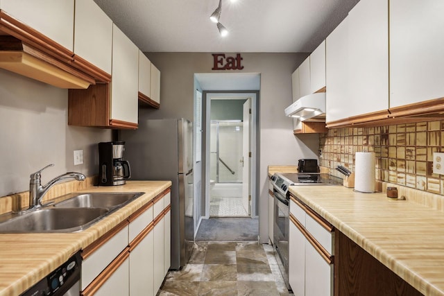 kitchen with white cabinetry, stainless steel appliances, ventilation hood, and sink