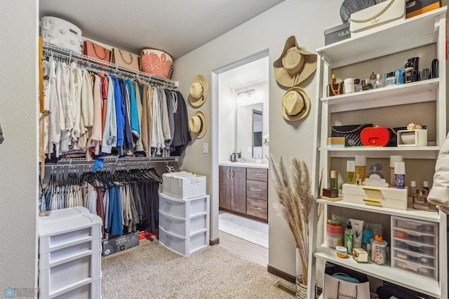 spacious closet featuring carpet flooring