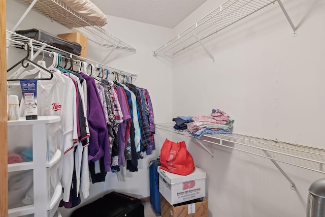 view of spacious closet