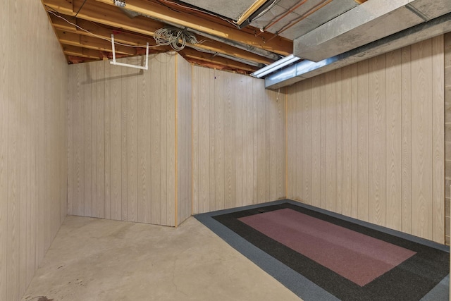 basement with wooden walls