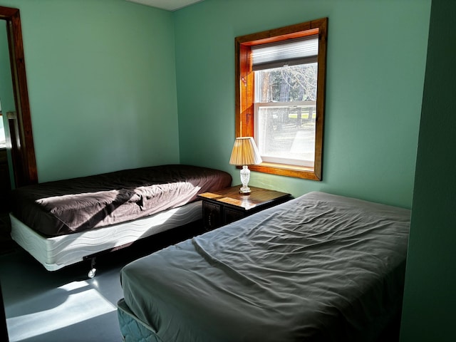 bedroom with carpet