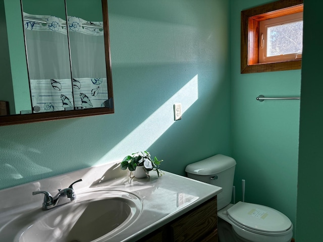 bathroom with vanity, toilet, and curtained shower