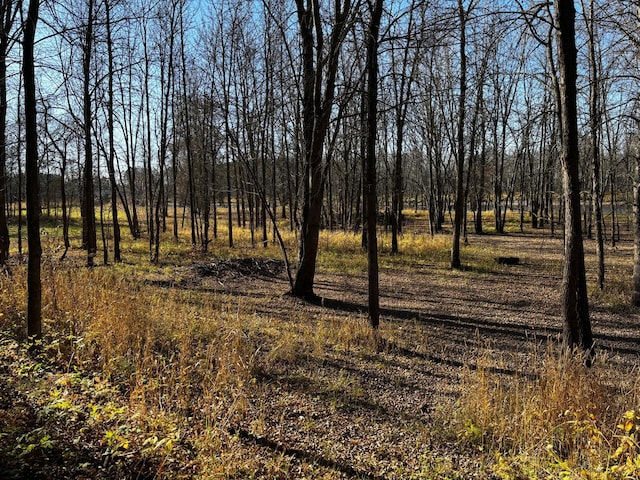 view of local wilderness