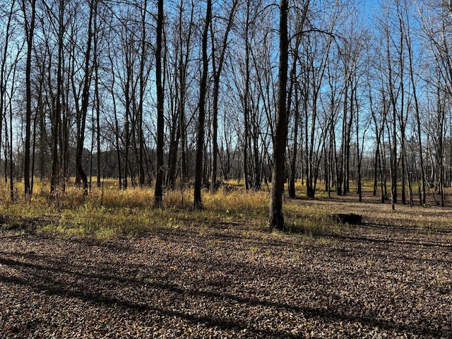 view of landscape