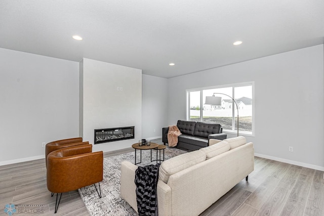 living room featuring light hardwood / wood-style floors