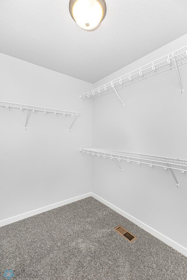 spacious closet with carpet floors