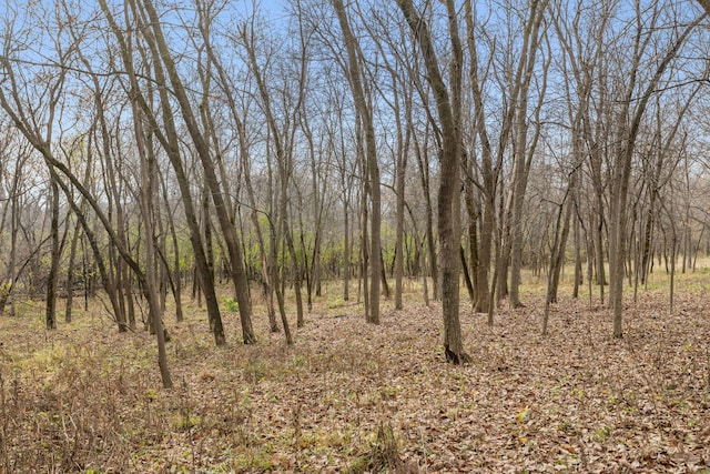 view of local wilderness