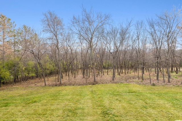 view of yard with a rural view