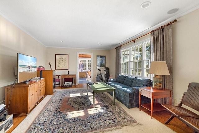 living area featuring light wood-style floors and crown molding