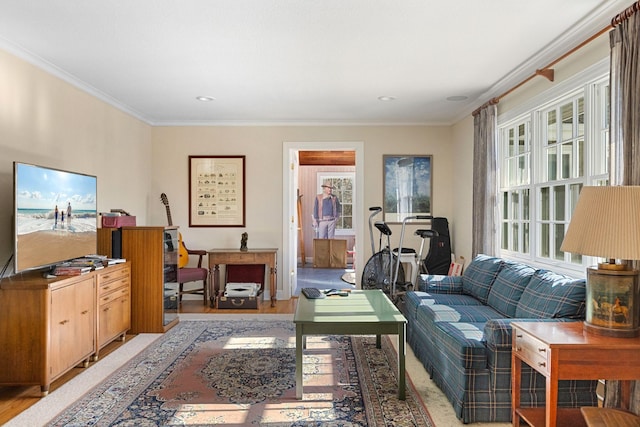 living area with light wood finished floors and crown molding