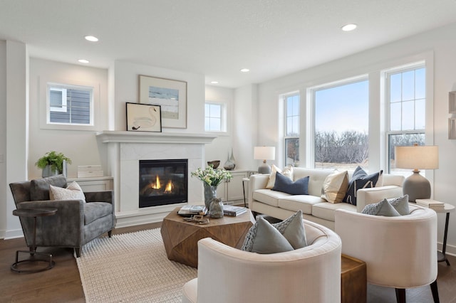 living room with a high end fireplace and hardwood / wood-style flooring