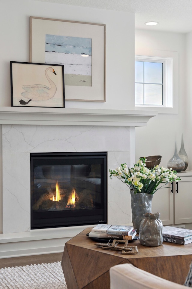 room details with wood-type flooring and a fireplace