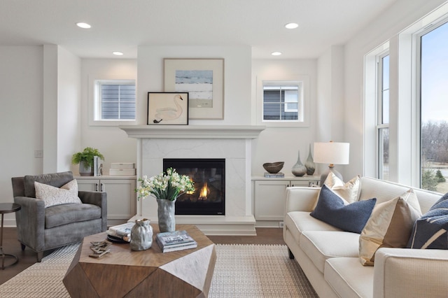 living room with dark hardwood / wood-style floors and a high end fireplace