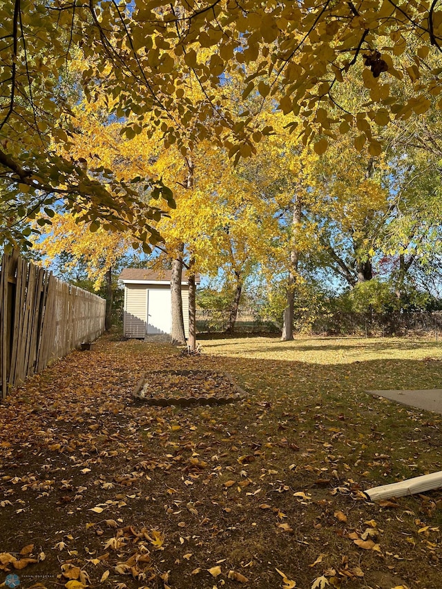 view of yard with a shed