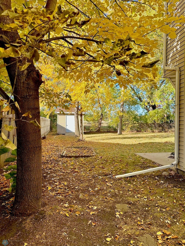 view of yard featuring a storage shed