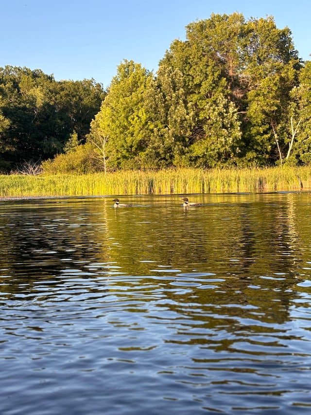 property view of water