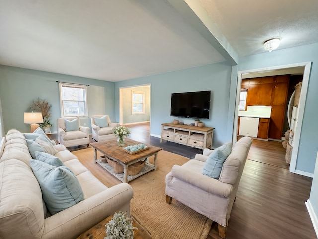 living room with hardwood / wood-style floors