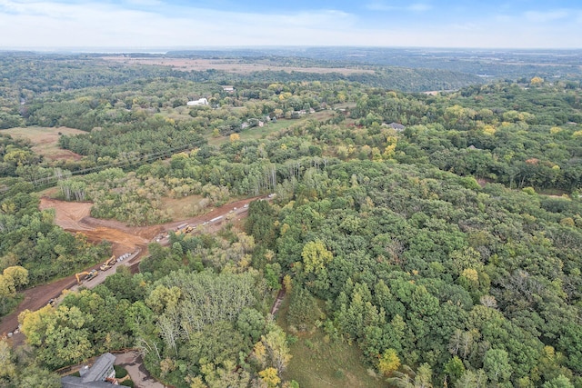 XXL3B2 65th St, Denmark Twp, MN 55033 - photo 7