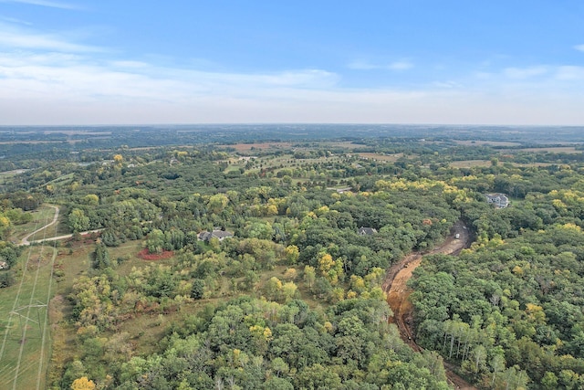 XXL3B2 65th St, Denmark Twp, MN 55033 - photo 15