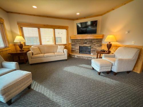 living room featuring ornamental molding, plenty of natural light, a fireplace, and wood walls