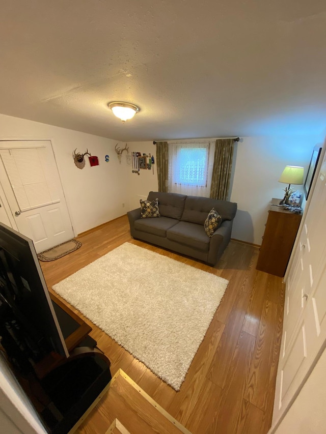 living room with a textured ceiling and hardwood / wood-style floors