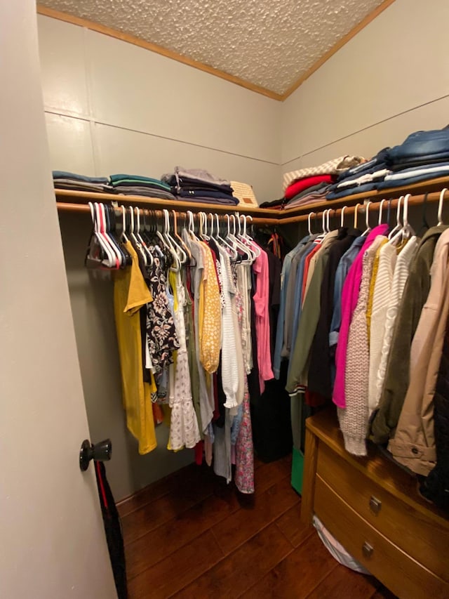 walk in closet with vaulted ceiling and dark hardwood / wood-style flooring