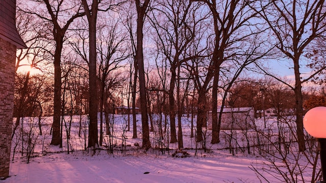 view of snowy view