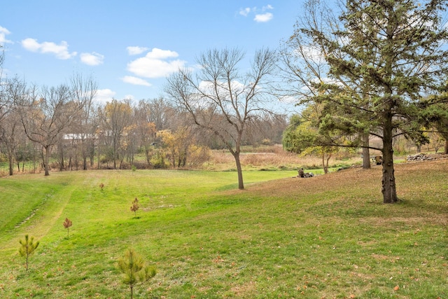 115XX 50th St NE, Albertville, MN 55301 - photo 10