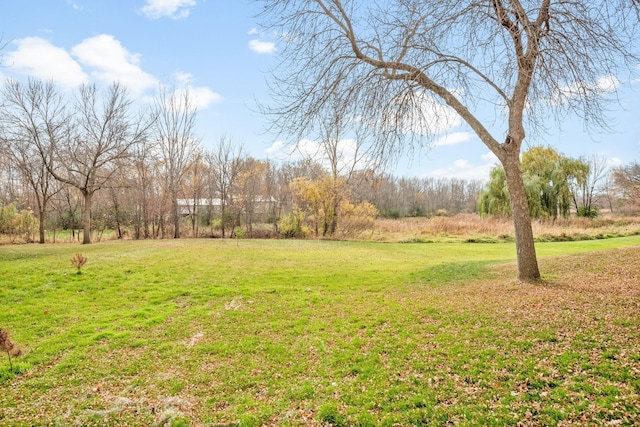115XX 50th St NE, Albertville, MN 55301 - photo 11