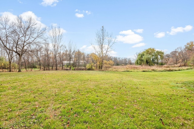 115XX 50th St NE, Albertville, MN 55301 - photo 12