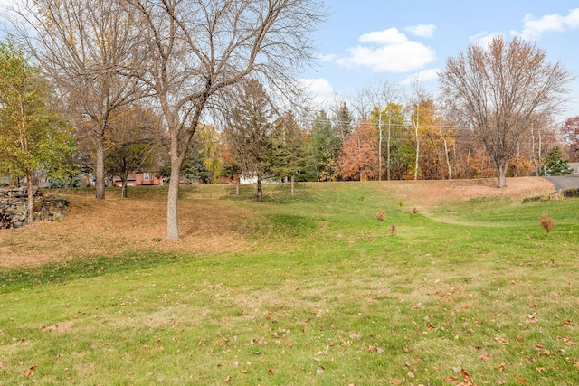 115XX 50th St NE, Albertville, MN 55301 - photo 16
