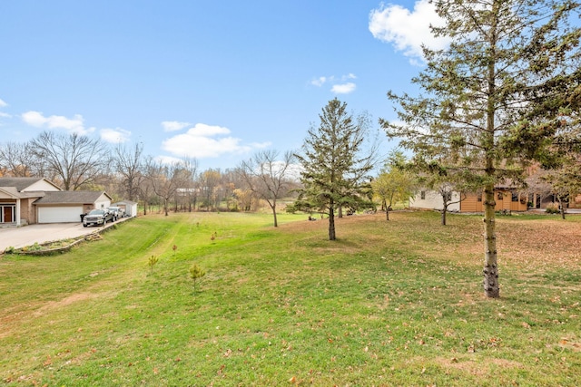 115XX 50th St NE, Albertville, MN 55301 - photo 9
