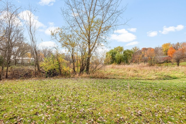 115XX 50th St NE, Albertville, MN 55301 - photo 13