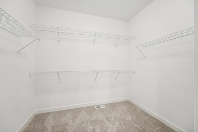 walk in closet with carpet flooring