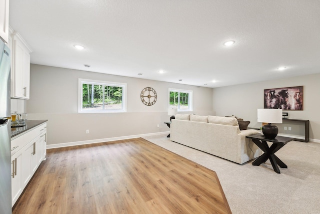 living room with light wood-type flooring and a healthy amount of sunlight