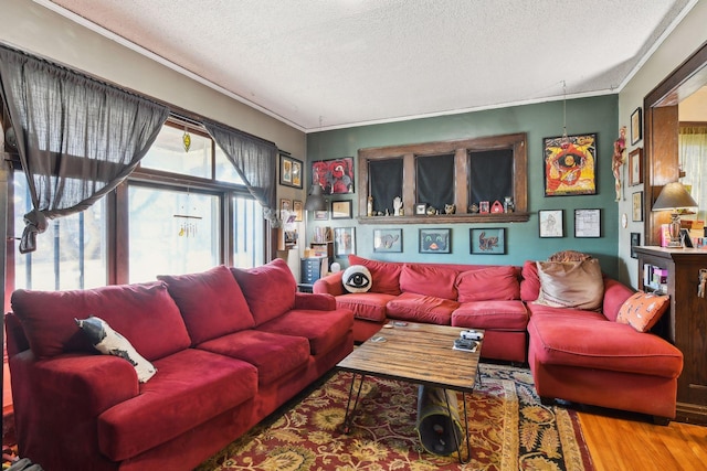 living room featuring hardwood / wood-style flooring, a textured ceiling, and ornamental molding