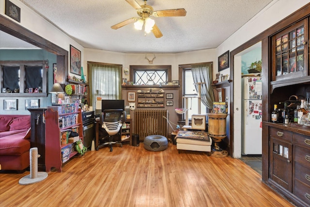 home office featuring ceiling fan, a textured ceiling, and light wood-type flooring