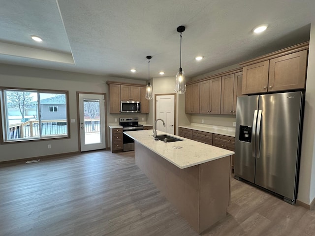 kitchen with stainless steel appliances, a kitchen island with sink, hardwood / wood-style flooring, and sink