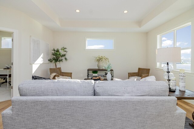 living room featuring hardwood / wood-style flooring and a raised ceiling