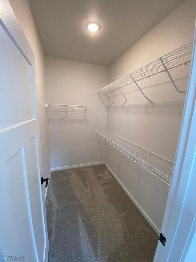 1312 Southview Dr SW, Glyndon, MN 56547 - spacious closet featuring carpet