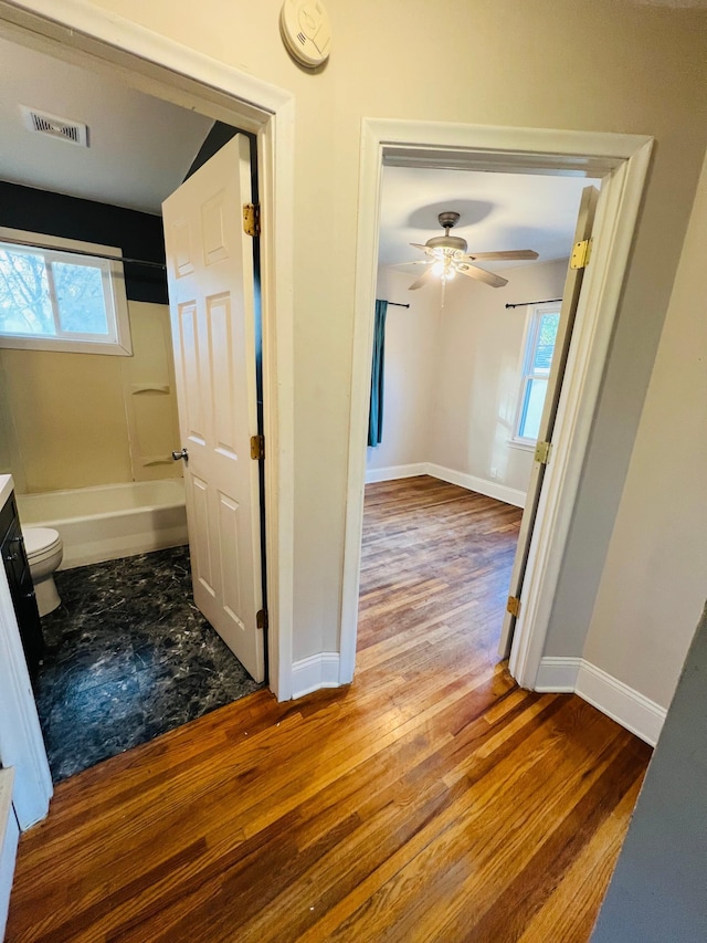 corridor with wood-type flooring and a healthy amount of sunlight