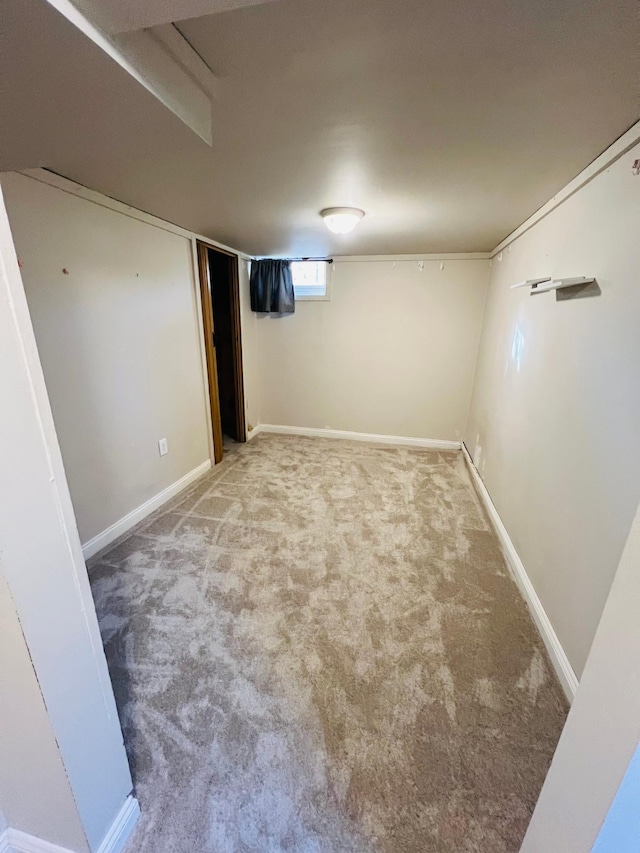 basement with carpet