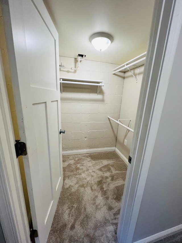 spacious closet featuring carpet