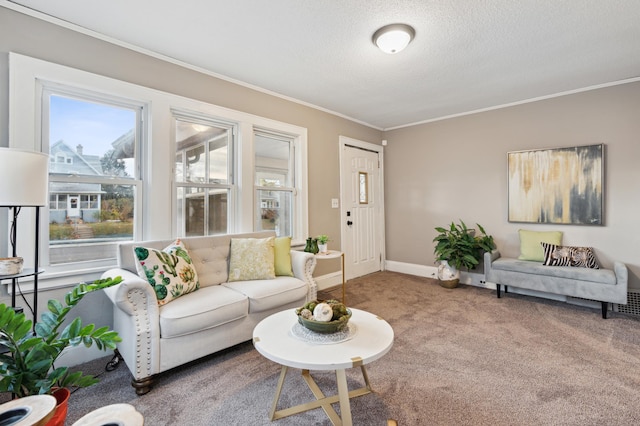 carpeted living room featuring crown molding and a textured ceiling