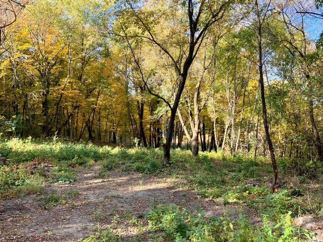 227XX Balsa Ave, Cedar Lake Twp, MN 55372