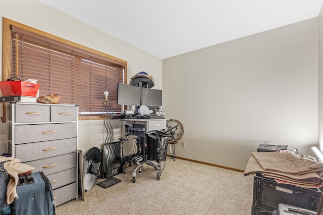 office space featuring carpet flooring