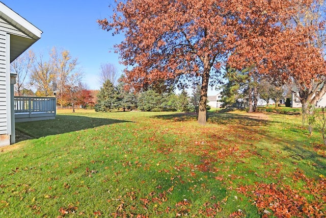 view of yard