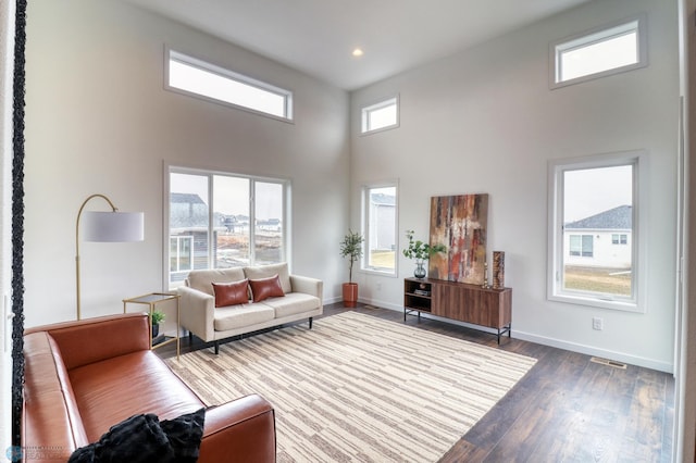 living room with a high ceiling and hardwood / wood-style flooring