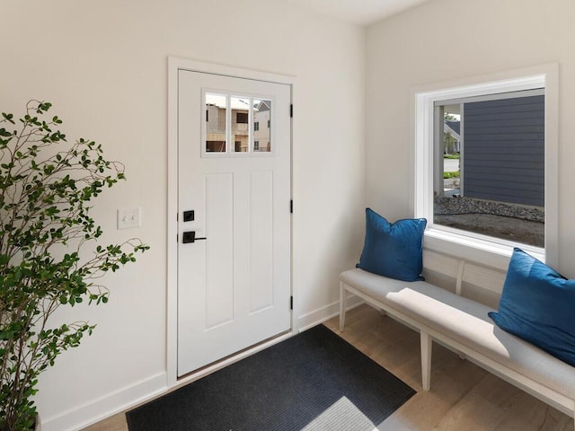 entryway with hardwood / wood-style flooring